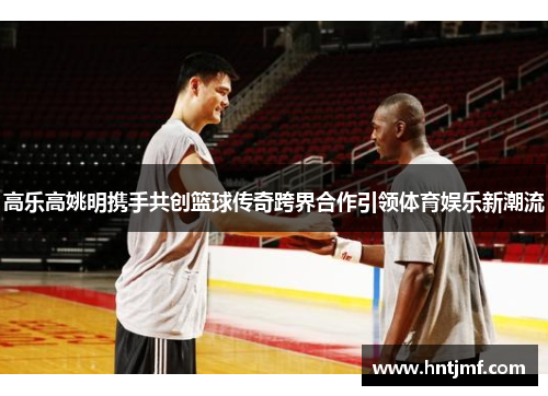 高乐高姚明携手共创篮球传奇跨界合作引领体育娱乐新潮流