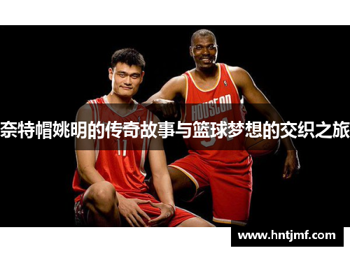 奈特帽姚明的传奇故事与篮球梦想的交织之旅